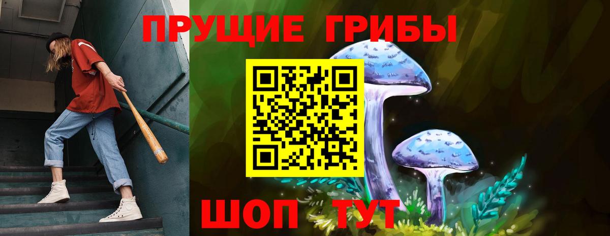 Псилоцибиновые грибы мицелий  Вход с VPN  продажа наркотиков  Альметьевск  Псилоцибиновые грибы мухоморы 